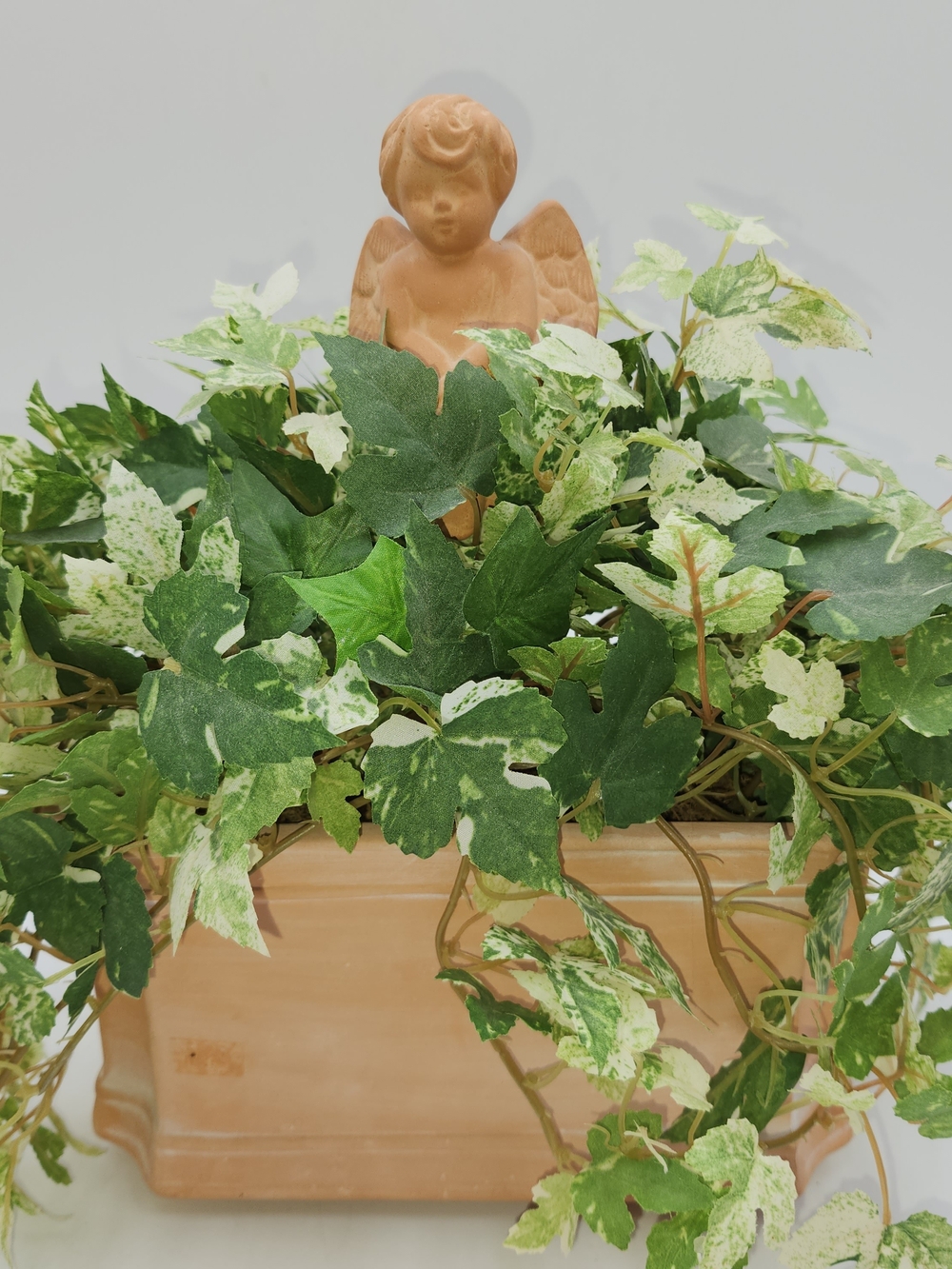Terracotta Angel Chwrub Vintage Pot Rectangle Planter with Variegated Ivy